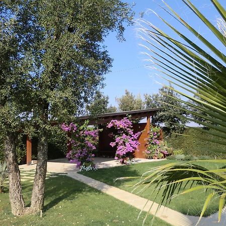 B&B "Corte San Tomaso" Legnago Extérieur photo