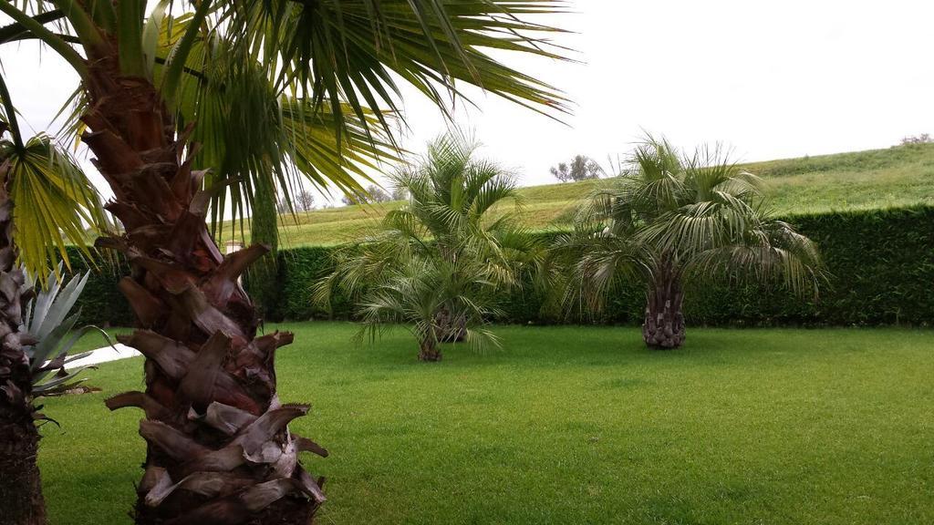 B&B "Corte San Tomaso" Legnago Extérieur photo