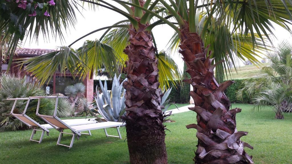 B&B "Corte San Tomaso" Legnago Extérieur photo
